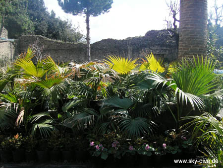 Pompeji-05