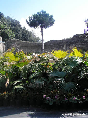 Pompeji-12