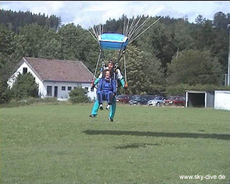 land-4